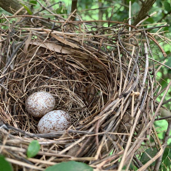 Meet your Posher, Karen - Picture 1 of 1